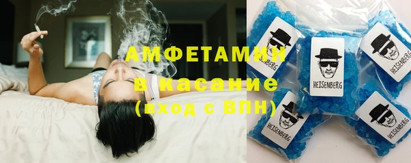 шишки Абаза