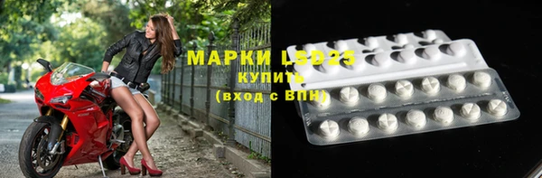 шишки Абаза