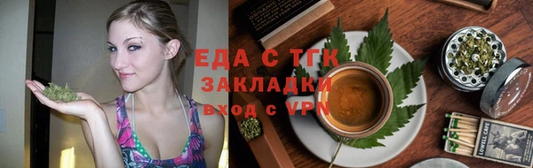 шишки Абаза