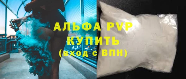 шишки Абаза