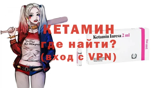 шишки Абаза