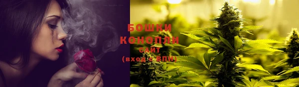 шишки Абаза