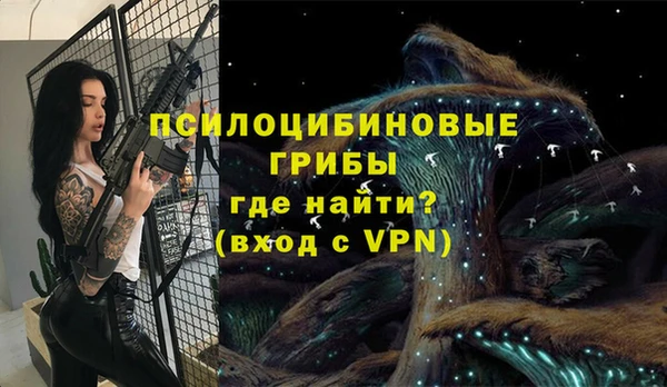 шишки Абаза
