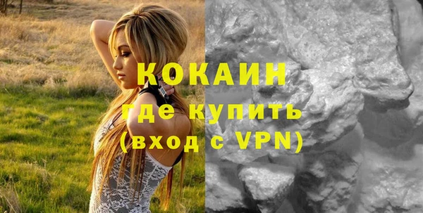 шишки Абаза