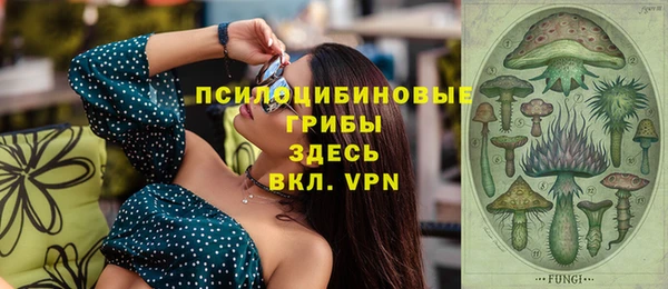 шишки Абаза