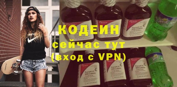 шишки Абаза