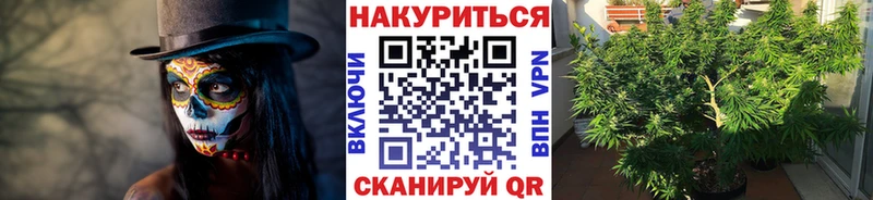 где можно купить   мега ONION  Бошки марихуана планчик  Анадырь 